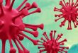 coronavirus dan mengenal Allah