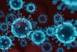 coronavirus dan husnuzzhon kepada Allah