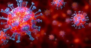 faedah hikmah coronavirus