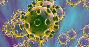 novel coronavirus