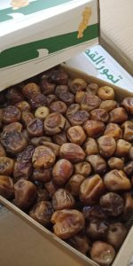 Jual kurma sukari pekanbaru