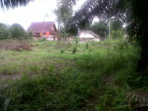 Jual Tanah Dumai Jalan Perwira