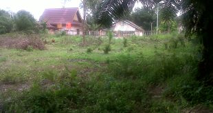 Jual Tanah Dumai Jalan Perwira