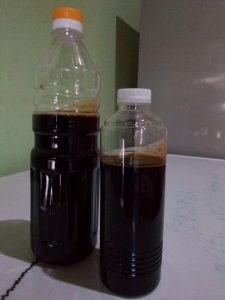 madu akasia mellifera riau